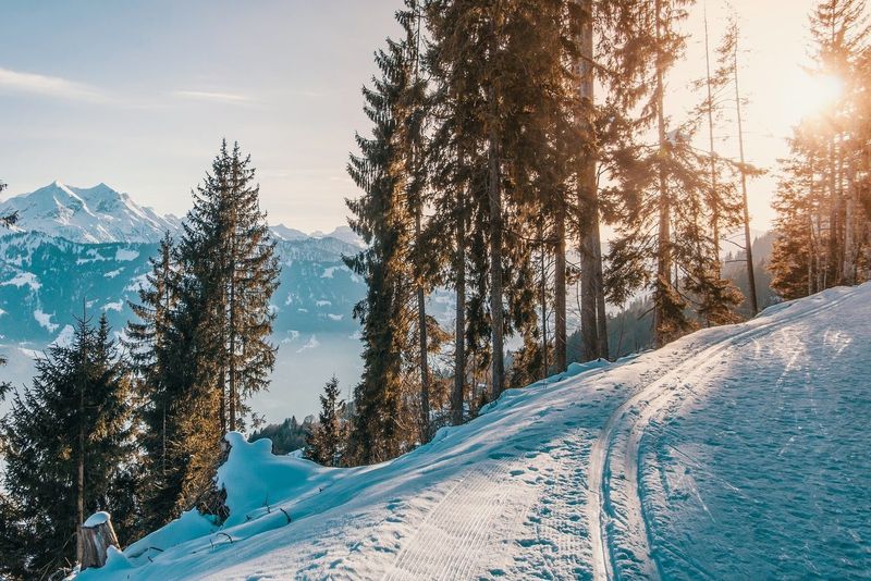 Sentier enneigé en forêt, Valais